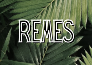 REMES