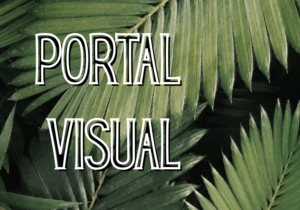 Portal Visual